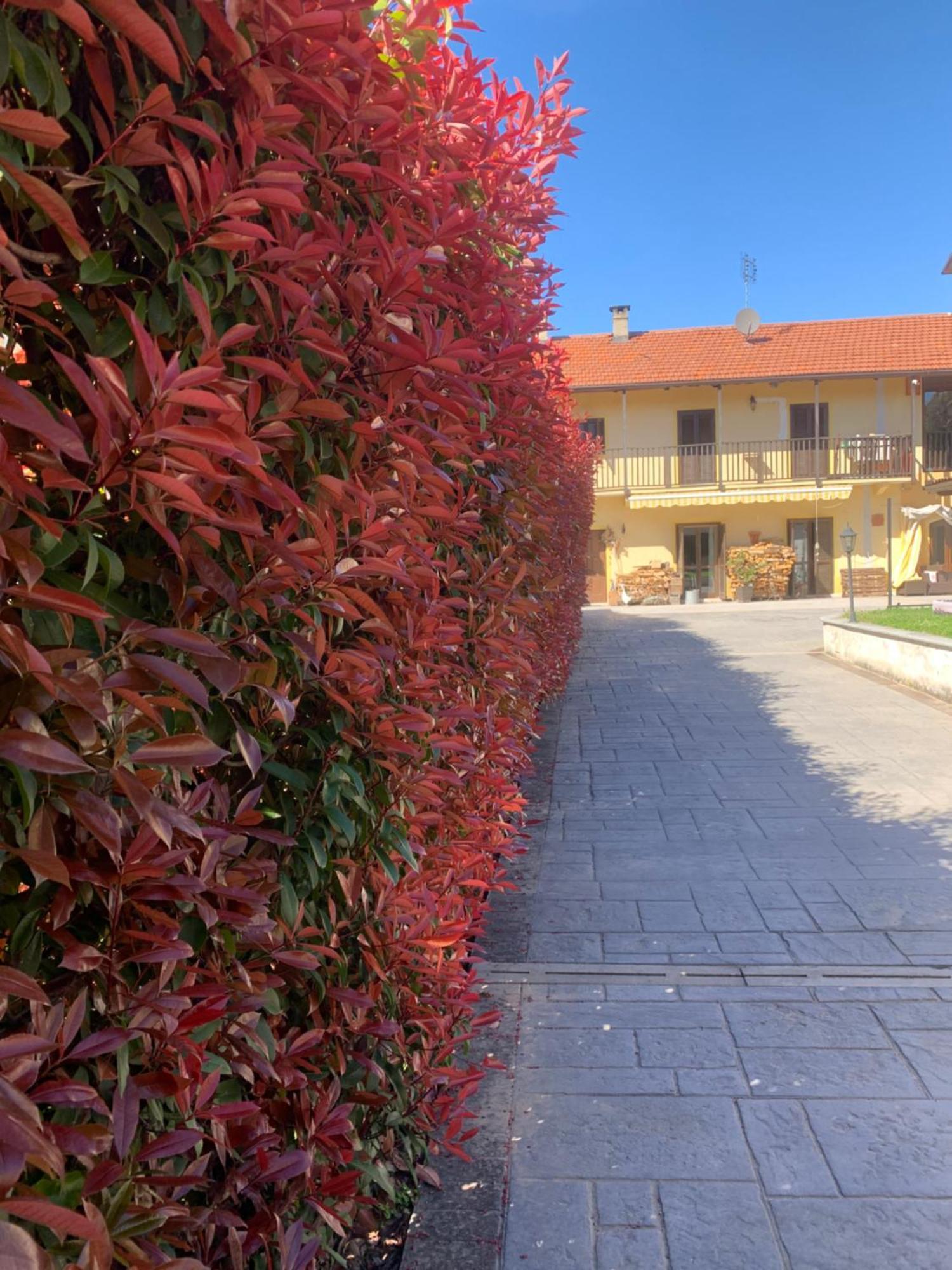 Casarte: Monolocale Terra Daire Alpignano Dış mekan fotoğraf
